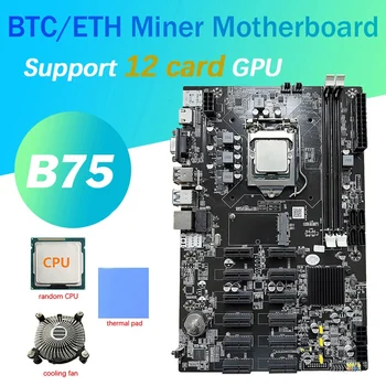 B75 12 GPU BTC Madencilik Anakart + Rastgele CPU + Soğutma Fanı + Termal Ped 12 PCIE USB3. 0 Yuvası LGA1155 DDR3 MSATA ETH Madenci